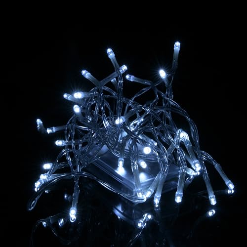80010606WN 1