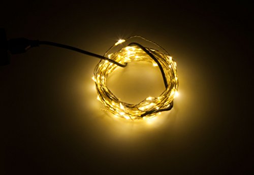 80170310_10FSL 1